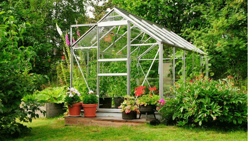 Creative Gardening Techniques
