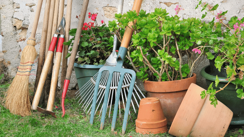 Container Gardening Success