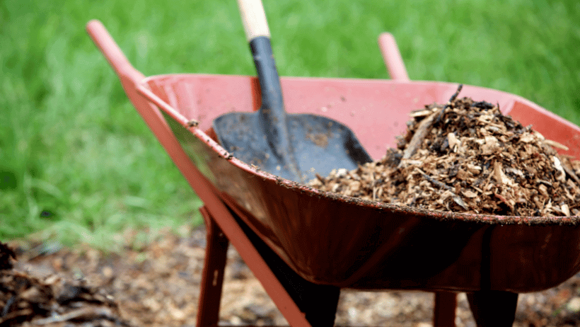 DIY Composting Techniques