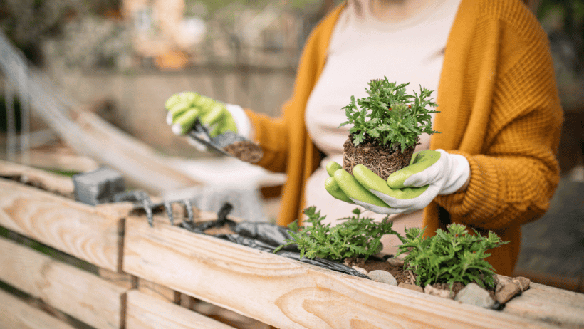 Getting Started with Unusual Gardening Hacks