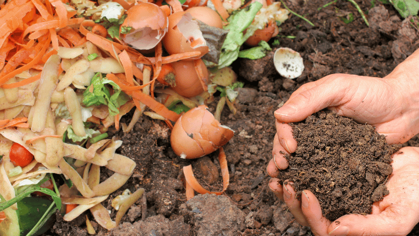 Composting Made Easy