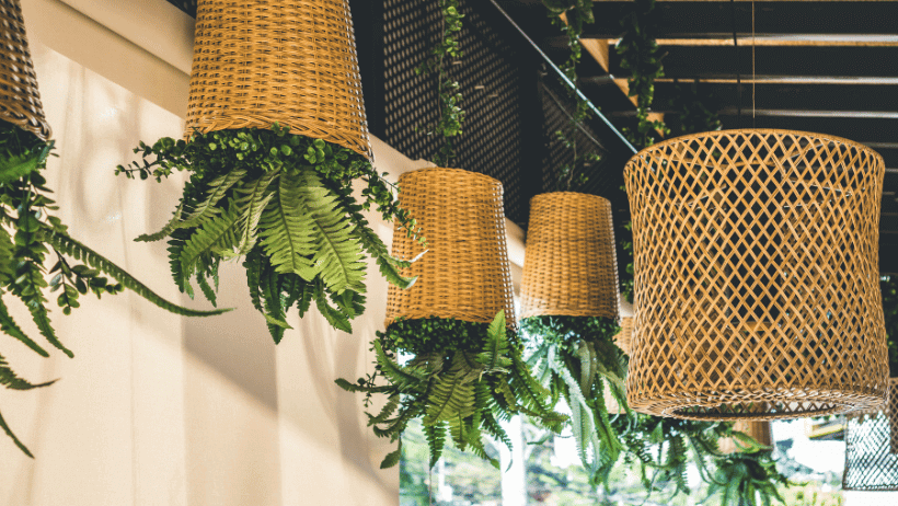 Upside-Down Planters