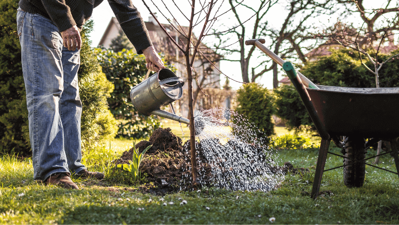 Watering Wonders