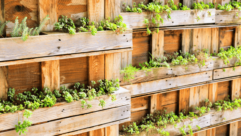 Upside-Down Planters
