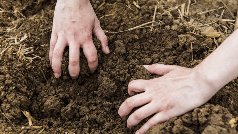 No-Dig Gardening
