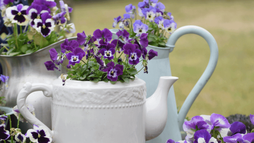 Repurposing Household Items for Planters