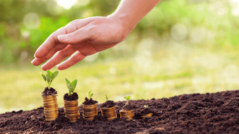 Time-Saving Planting Tips