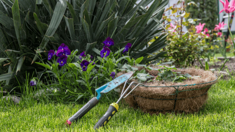 Keyhole Gardening