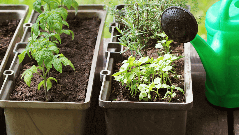 Repurposed Containers