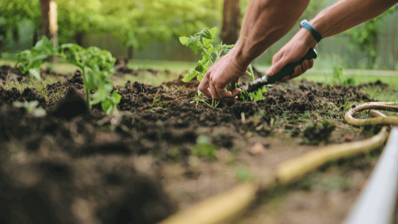 Soil Enrichment Secrets