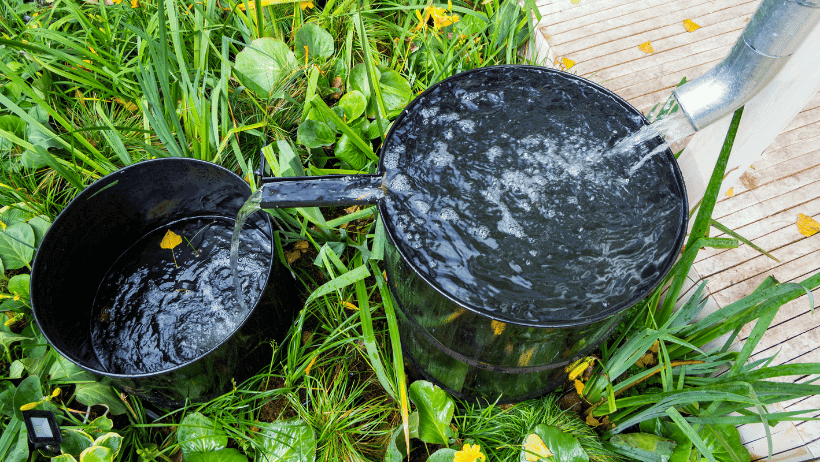 Creating DIY Rainwater Collection Systems
