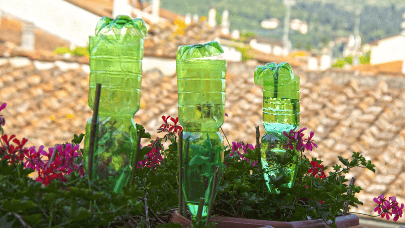 Bottle Irrigation System