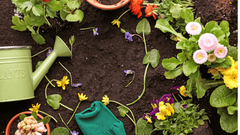 The Joy of Gardening