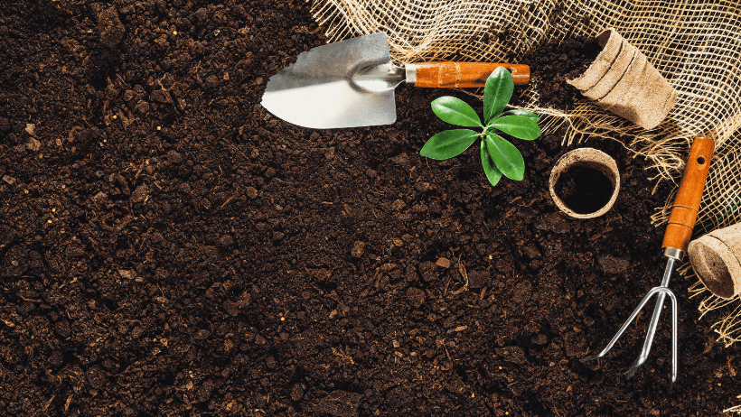 Gardening Techniques